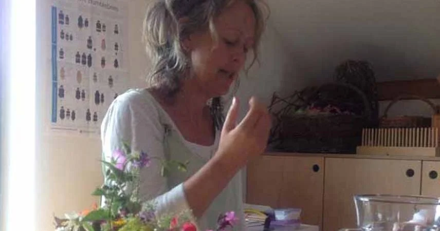 Woman leading a talk on bee awareness and conservation day in Cornwall.