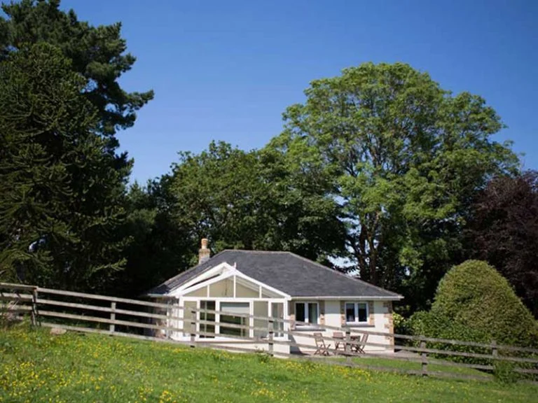 Exterior of Hydrangea cottage at Bosinver, surrounded by trees and a field, with not a cloud in the sky.