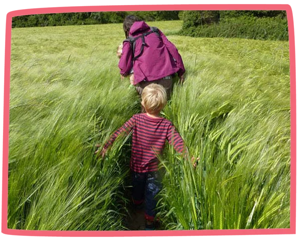 Small family walking through a field on a sunny day in Cornwall.