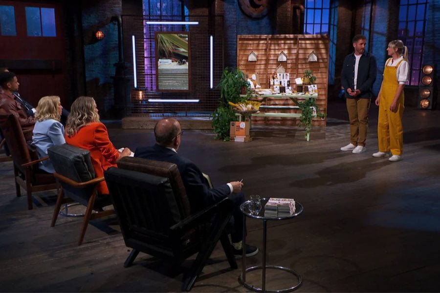 beevive dragons den