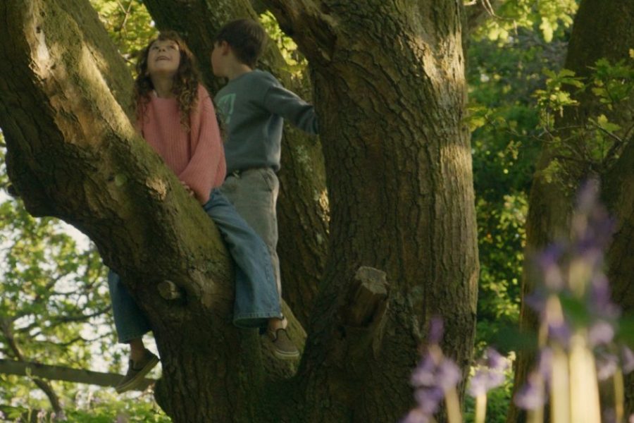 children playing in a tree