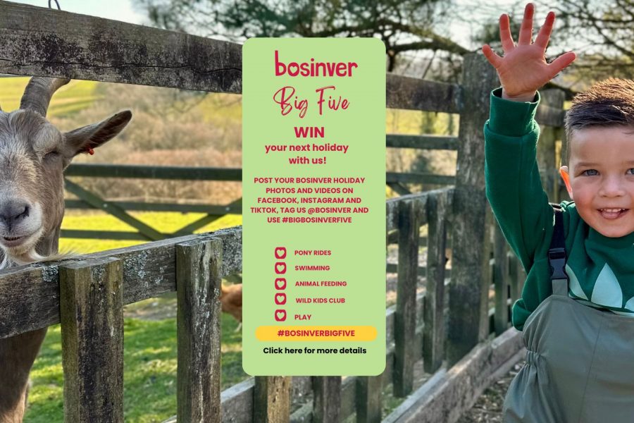 BOSINVER BIG 5 FIVE