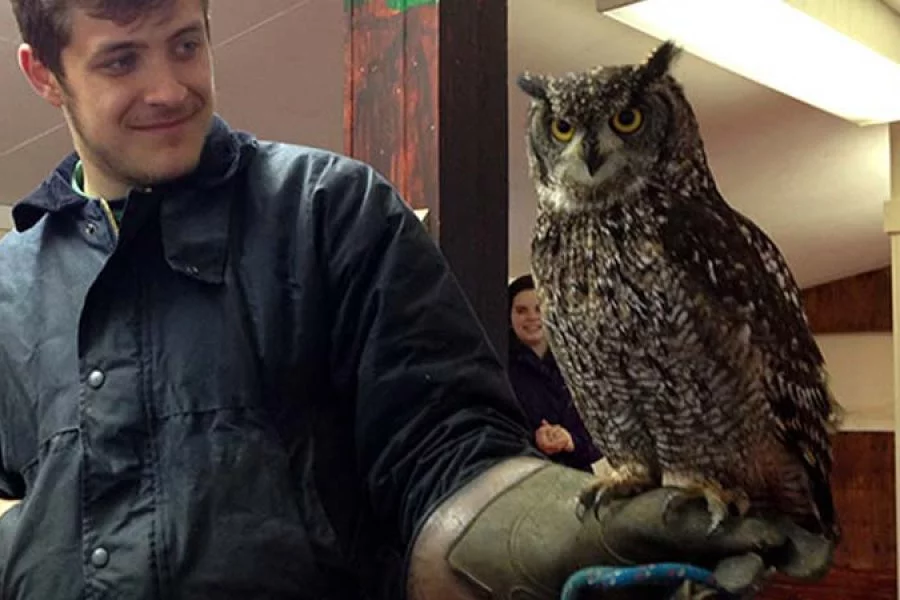 Man wearing a protective glove holding an owl at the Screech Owl Sanctuary in Cornwall.