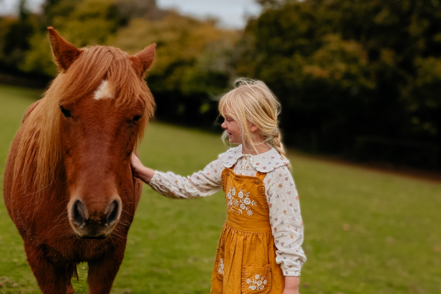 ginger the pony ginger the pony