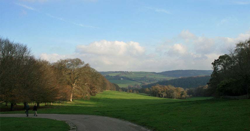 The Cornish countryside with hills in the distance and trees in the foreground.