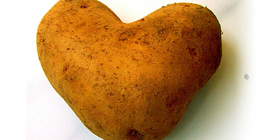 A heart shaped potato against a white background
