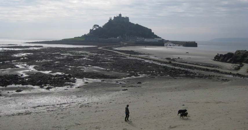 Man walking his dog along the beach at St Michael's Mount at low tide in Cornwall