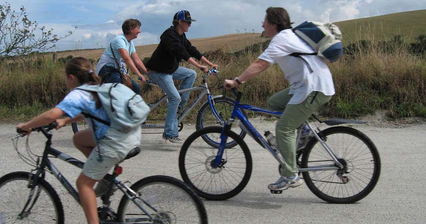 Four people on bicycles, cycling in different directions along a cycle path.