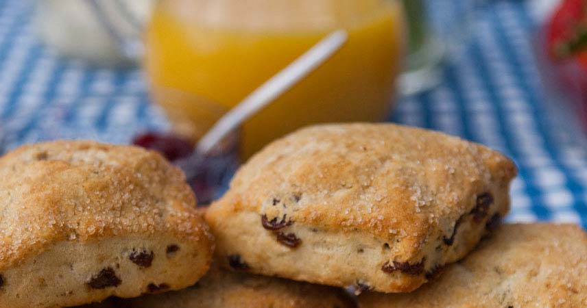 Close up on scones on a picnic table with orange juice in the background at Bosinver