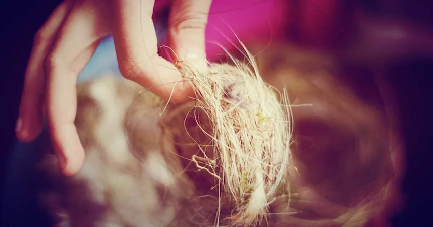 Close up of a hand holding a crafted nest