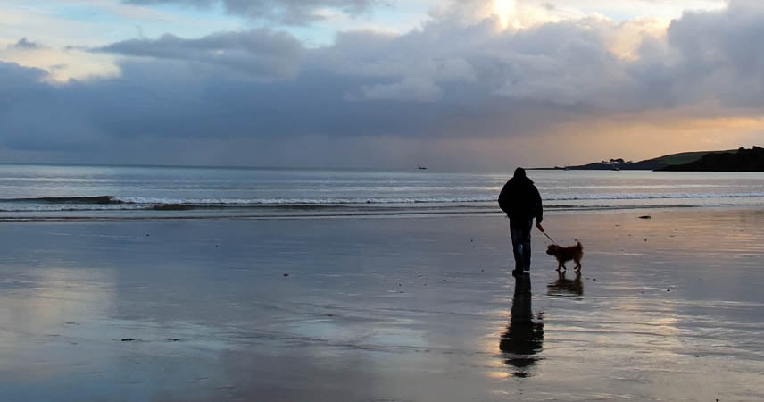 Man walking a small dog along a Cornish beach at low tide during sunrise