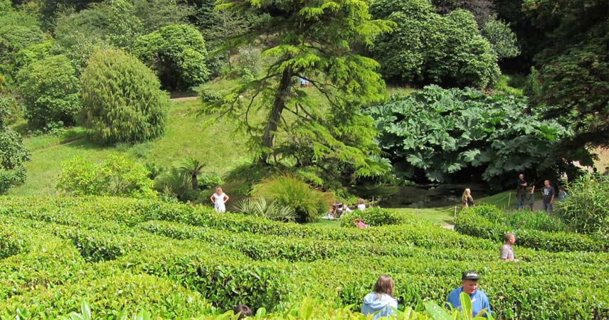 People exploring Glendurgan garden in Cornwall