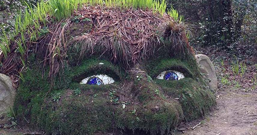 Plants and rocks that have been shaped to look like the top half of a giant's face with blue eyes at the Lost Gardens of Heligan, Cornwall