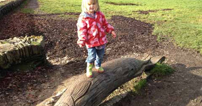 Child standing on a log during a sunny woodland walk in Cornwall