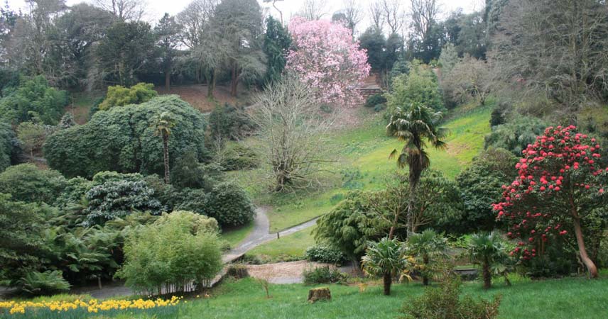 Photo of Trebah Garden in Cornwall, showing a range of trees and plans of a range of species.