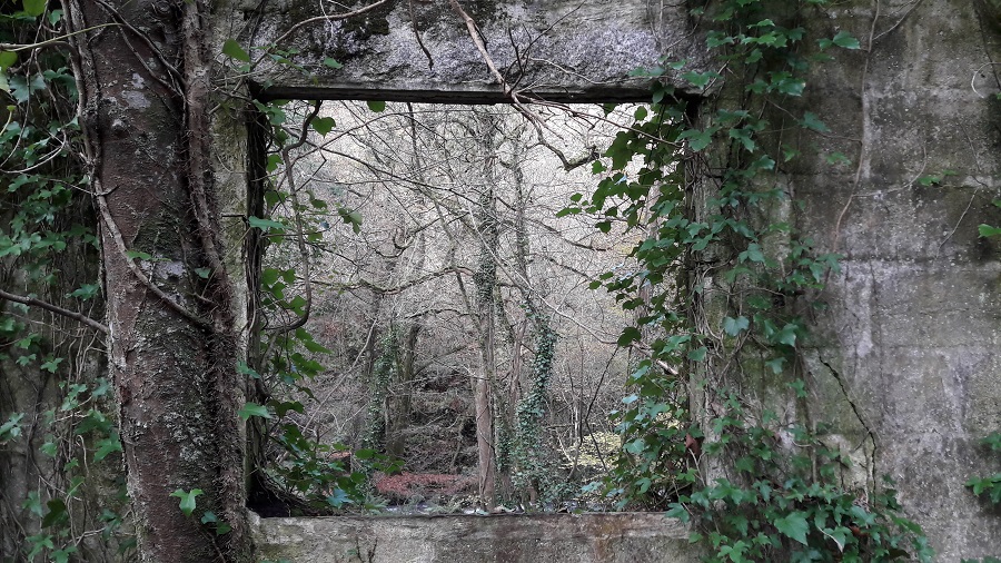 Explore Kennall Vale and discover Cornwall's history
