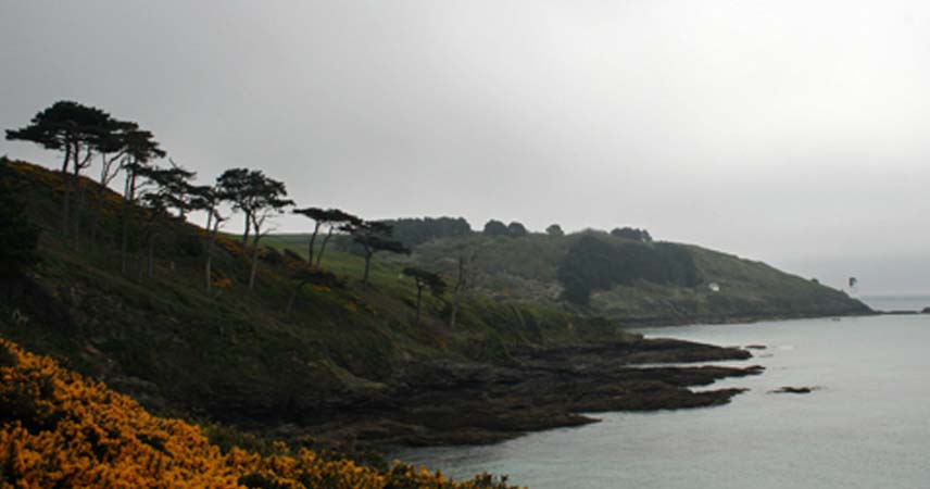 Artistic photo of the Roseland Peninsula showcasing the dramatic coastline on a grey day.