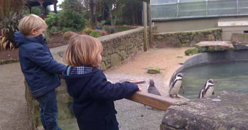 Two children watching the penguins at Paradise Park in Cornwall on a cold day.