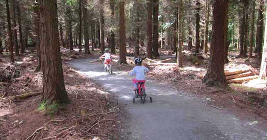 Two children cycling through a woodland at Lanhydrock in Cornwall.