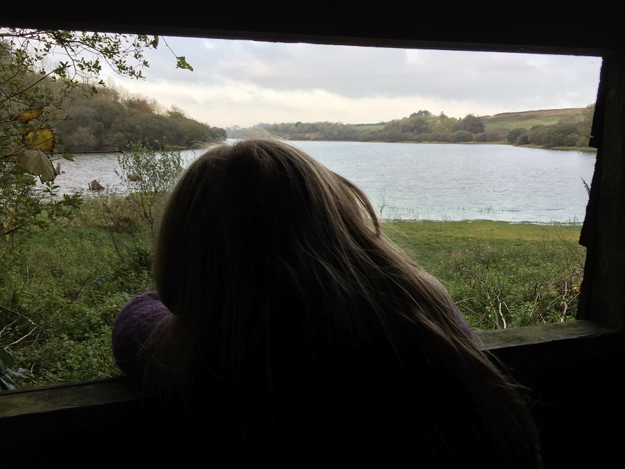 Enjoy birdwatching at Argal Reservoir
