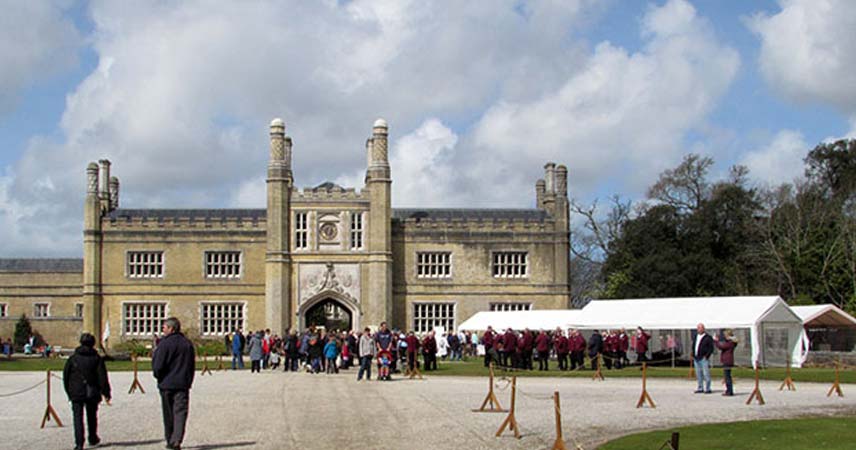 Exterior of Tregothnan in Cornwall with groups of people outside, chatting underneath gazebos.