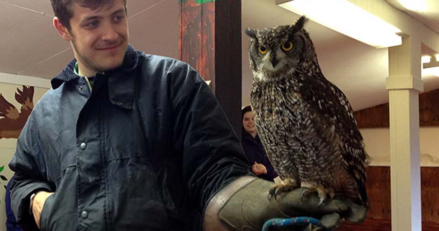 Man wearing a protective glove holding an owl at the Screech Owl Sanctuary in Cornwall.