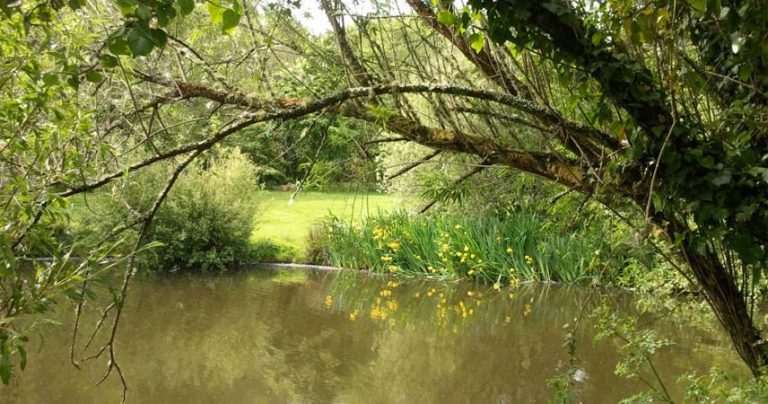 Picture of a wildlife pond next to a green, surrounded by flowers and trees.