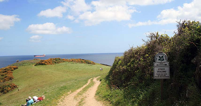 Picture of a coastal walk around Mawnan Smith & Rosemullion Head in Cornwall