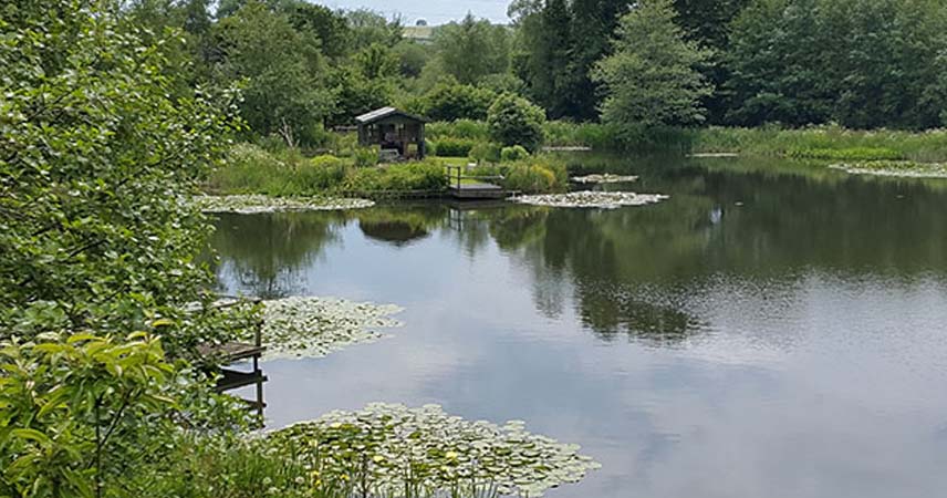 Picture of a lake in Cornwall with trees, grass and wildflowers around it.