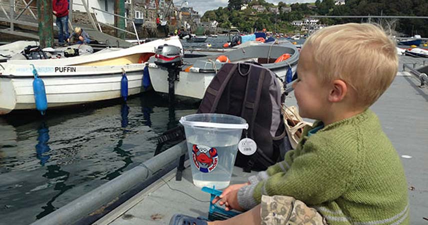 Small child with a bucket of water fishing for crabs in Fowey, Cornwall, The boy is smiling.