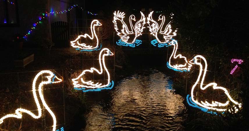 Photo of swan Christmas lights at Angarrack in Cornwall.