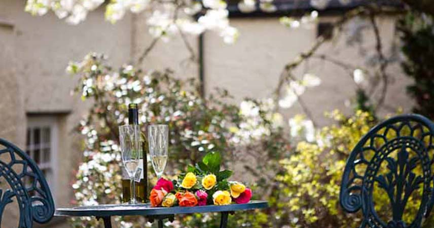 Champagne and roses on a table outside underneath a cherry blossom.