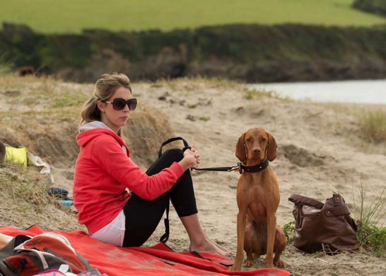 Dog Friendly Breaks Luxury Self Catering Holiday Cottages in Cornwall