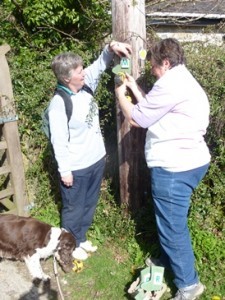 Two women screwing a lettered wellie sign to a telephone post with a dog at their feet.
