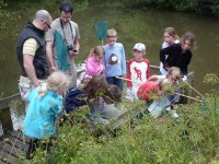 Group of children looking at Bosinver lake plants stood on a pontoon with nets. 