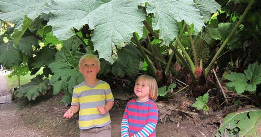 Two children exploring the area around them, with two large plants in the background.