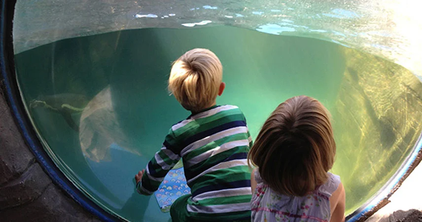 Two children looking through the glass at Sealworld in Cornwall.