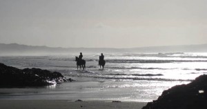 Bosinver_horses_on_beach