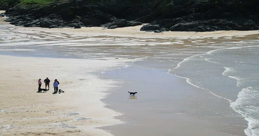 Aerial shot of three people and a dog on an empty beach in Cornwall.