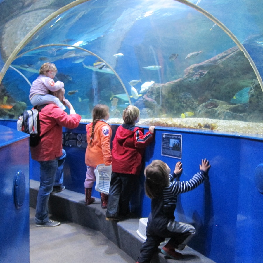Blue Reef Aquarium is perfect for a baby friendly day out in Cornwall