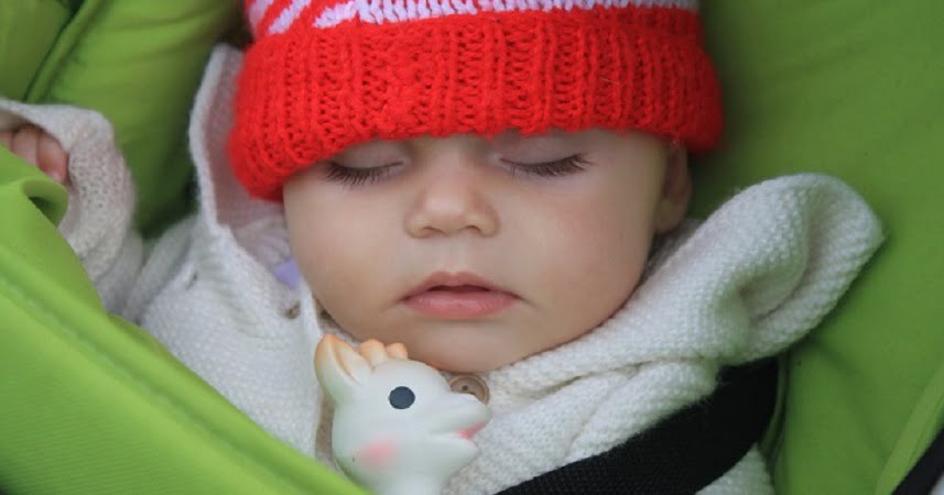 Sleeping baby in a hat with a toy asleep in a green carrier.