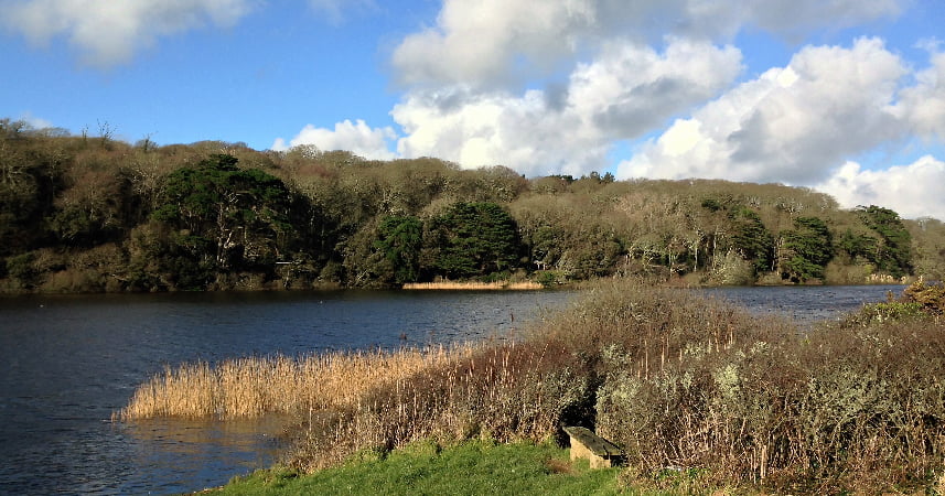 Photo of Loe Pool and the walk around there and Loe Bar on a sunny day.