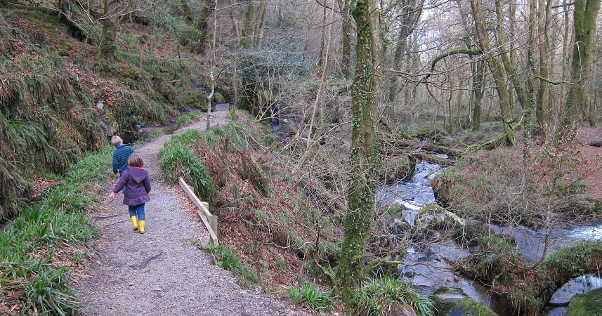 Two children exploring Kennall Vale, walking over a bridge in a woodland.