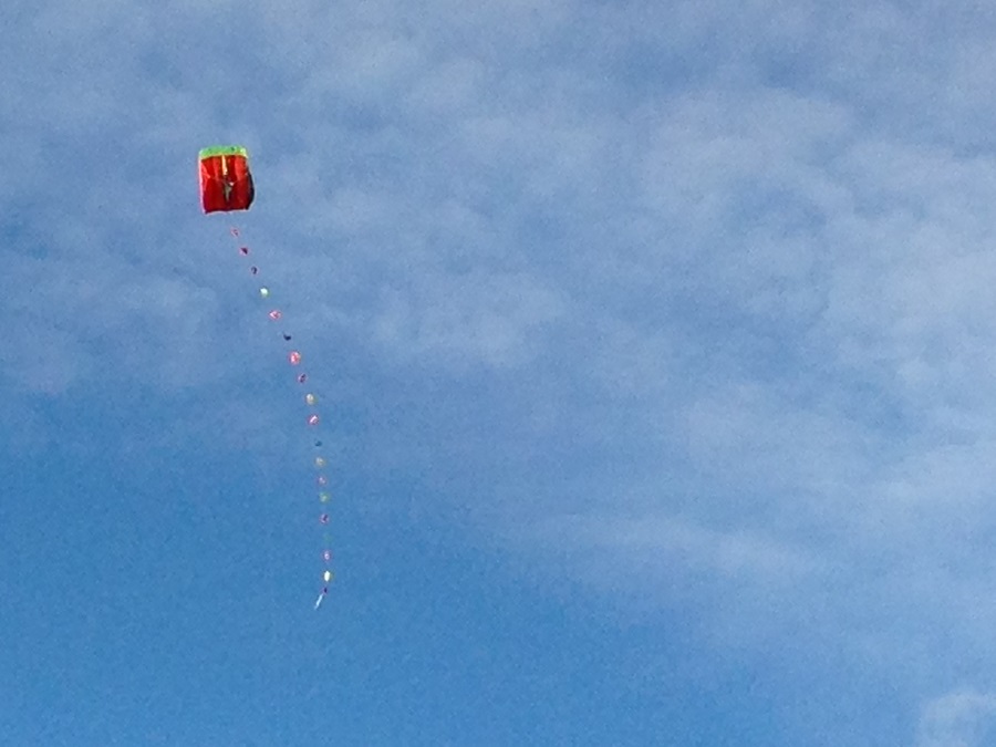 Kite flying in Cornwall is a fun activity for families