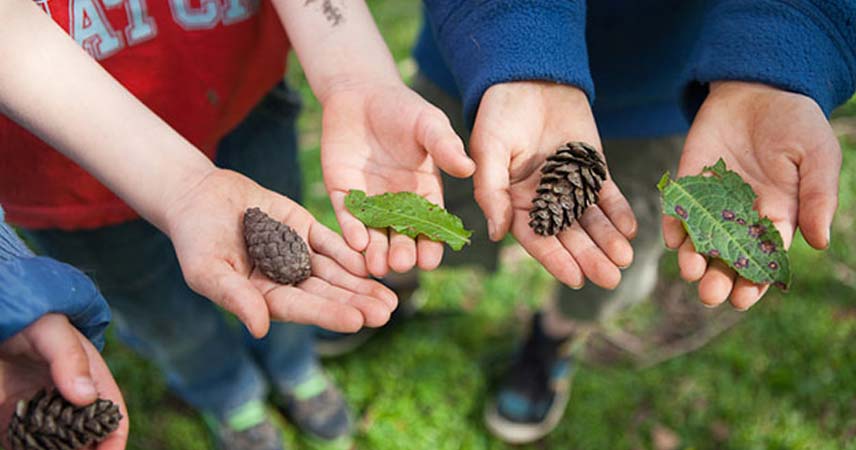 Three children holding things they found on a scavenger hunt, like pinecones and leaves.