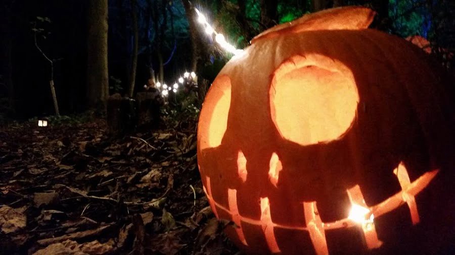 Close up of a pumpkin in a Cornish forest at night.