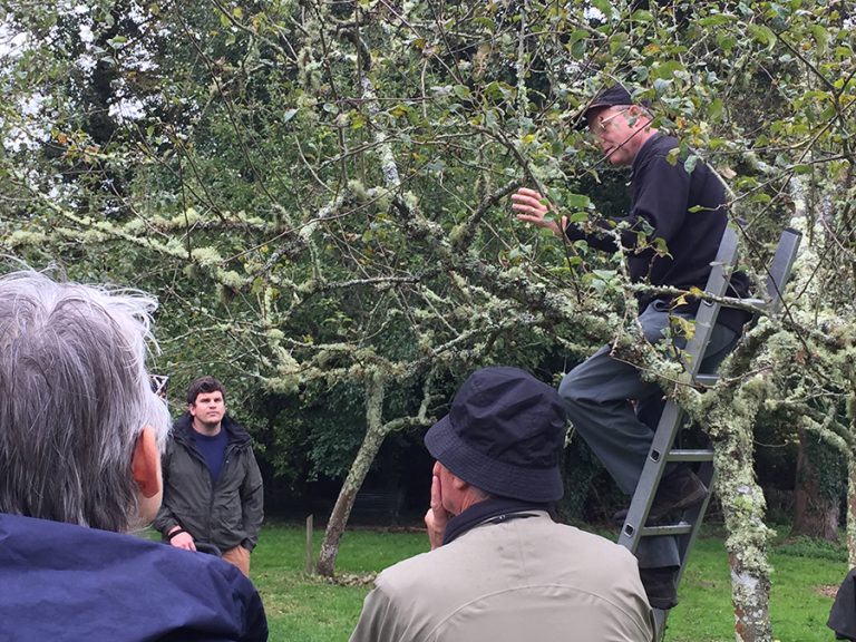 Group of men listening to a man speak to the group in an orchard at Trelissick Gardens.
