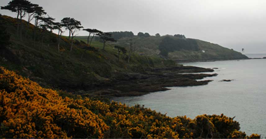 Landscape shot of the Roseland Peninsular on a grey day