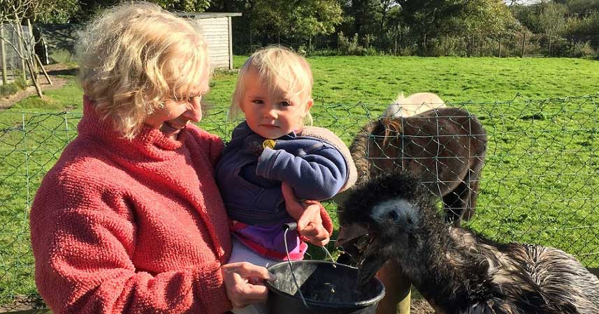 Nanny pat and small child feeding farm animals