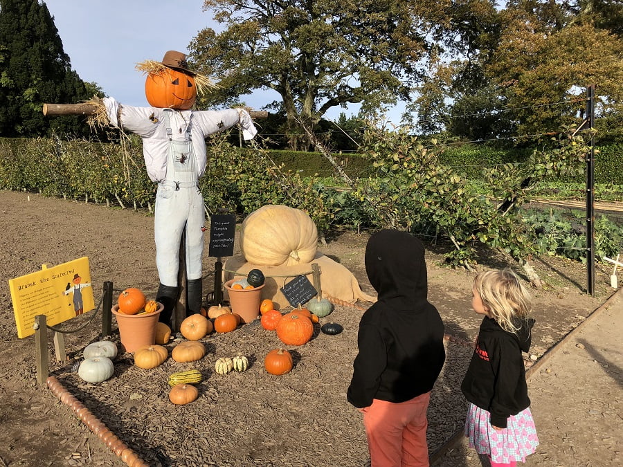 Two children looking at a pumpkin scarecrow at the Lost Gardens of Heligan.